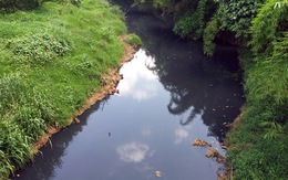 Con suối bị 'nhuộm đen' ở Bình Phước do sự cố tràn nước thải