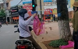 Cô gái dừng xe máy mua chim rồi phóng sinh trước mặt người bán