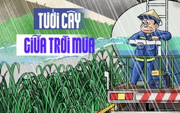 Tưới cây giữa trời mưa xối xả khiến dân mạng 'mắt chữ O mồm chữ A'