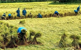 Lũ ở Đồng bằng sông Cửu Long nay sẽ khác