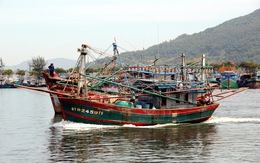 Cấm bắt cá nhỏ để bảo vệ thủy sản