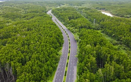 Ngắm đường Rừng Sác đi xuyên qua rừng ngập mặn xanh ngắt được đề xuất nâng cấp