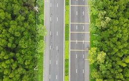 Flycam đường Rừng Sác ở Cần Giờ, vừa được đề xuất nâng cấp