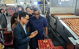 Singapore muốn nhập khẩu thịt, trứng của Việt Nam