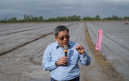 Đề án 1 triệu ha chuyên canh lúa chất lượng cao: Mở ra hướng đi mới cho lúa gạo Kiên Giang