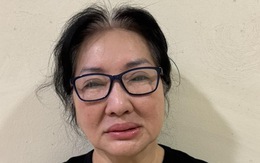 Khởi tố, bắt tạm giam tổng giám đốc Quốc Cường Gia Lai Nguyễn Thị Như Loan