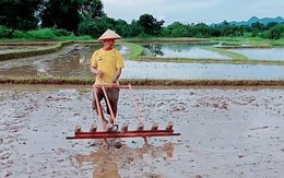 Máy gieo hạt chạy bằng cơm