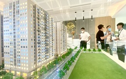 Đà Nẵng cho thuê chung cư số lượng lớn với giá từ 2,5 triệu đồng/căn