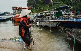 Bão số 2 áp sát Quảng Ninh - Hải Phòng, ngư dân hối hả đưa tàu thuyền vào bờ