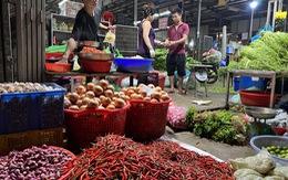 Ớt Việt Nam có gì đặc biệt mà Trung Quốc tăng thu mua?