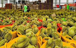 Thái Lan bất ngờ tăng chi tiền lớn mua rau quả Việt Nam