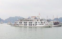 Quảng Ninh tạm ngừng cấp phép tàu bè để ứng phó bão số 2
