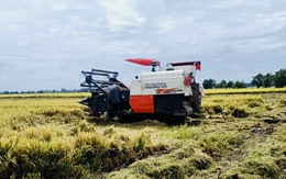 Đồng Tháp thu hoạch lúa hè thu cuối vụ, nông dân đạt lợi nhuận 26 - 32 triệu đồng mỗi ha