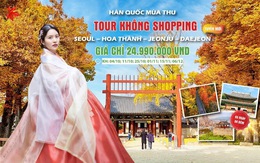 AdenZ Travel giới thiệu tour Hàn Quốc mùa thu không shopping