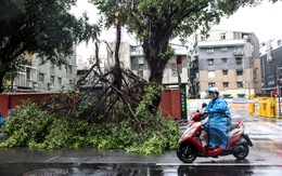 Siêu bão Gaemi đổ bộ Trung Quốc, 240.800 người sơ tán