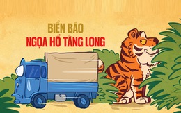 Biển báo giao thông kiểu... ngọa hổ tàng long