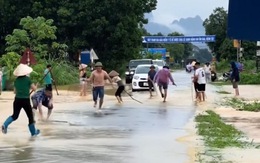 Người dân cầm gậy săn cá trên đường nhựa ở Thái Nguyên