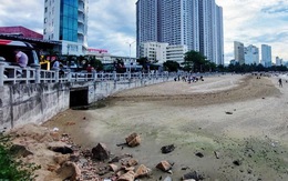 Nha Trang: Kiểm tra vụ ‘dân kêu tắm biển Hòn Chồng bị ngứa’