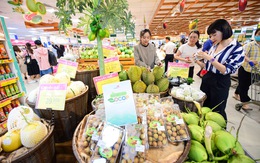 Hơn 500 sản phẩm OCOP tại Lễ hội Tôn vinh nông sản Việt