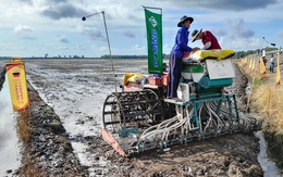 Làm lúa chất lượng cao, ngại gì mà bà con không làm