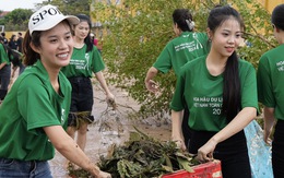 Hoa hậu Du lịch Việt Nam toàn cầu tạm hoãn, 40 thí sinh hỗ trợ khắc phục hậu quả sau bão số 3