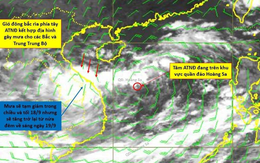 Áp thấp nhiệt đới vẫn trên biển, chưa vào bờ như mạng xã hội đồn thổi