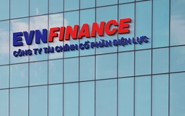 EVNFinance ‘rót’ hơn 11.369 tỉ đồng vào bất động sản