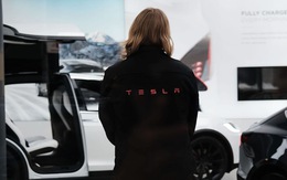 Nhân viên nghỉ ốm quá nhiều, lãnh đạo Tesla... gõ cửa từng nhà điều tra sự thực