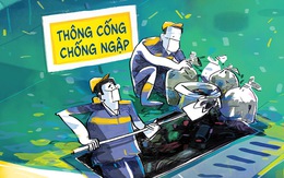 So sánh 'thông cống' và 'thông thầu'