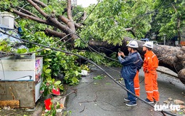 Cây xanh ở TP.HCM, Bình Dương đổ hàng loạt trong mưa