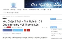 Chặn trục lợi bất chính trên các trang mạng