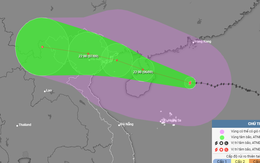 Quốc tế dự báo siêu bão Yagi khi đổ bộ vào Việt Nam cường độ sẽ mạnh thế nào?