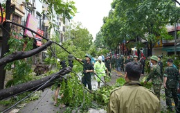 Hà Nội thêm một người chết do bão số 3, hơn 25.000 cây xanh gãy đổ