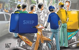 Shipper rối não với ma trận số nhà