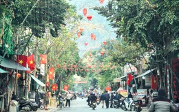 Làng quê phục dựng cây nêu ngày Tết, cả xóm lung linh đèn hoa