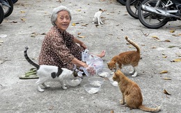 Thảo cầm viên đã 'căng': kiện người vu khống 'bắt mèo hoang cho cá sấu ăn'