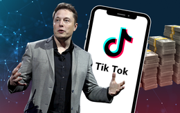 Elon Musk nói gì khi được Tổng thống Donald Trump đề nghị mua lại TikTok