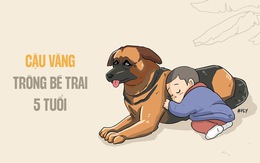 Hưng Yên: Bé trai đi lạc được chú chó nằm cạnh trông suốt đêm