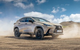 Lexus NX thêm bản Overtrail cho giới nhà giàu thích off-road