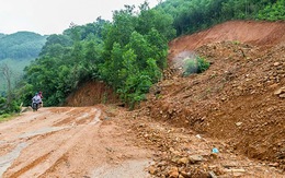 Định giá tiền tỉ, ba lần đấu giá không thành lô gỗ rừng tự nhiên để mở đường