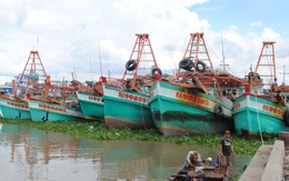 Nhiều tàu cá nằm bờ