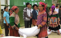 Thanh Hóa: cấp 2.000 tấn gạo cho dân mùa giáp hạt