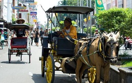 Khám phá Yogyakarta