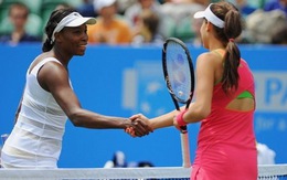 Serena dừng, Venus tiến