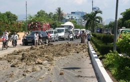 Nha Trang: xe tải chở đất gây mất vệ sinh