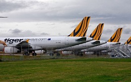Úc cấm Tiger Airways bay