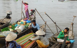 TNS Jim Web: bảo vệ sông Mekong