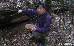 Tìm thấy nấm khổng lồ ở Trung Quốc
