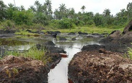 Hi vọng công lý cho nạn nhân rò rỉ dầu ở Nigeria