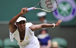 Venus Williams lại khổ vì ốm